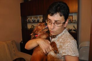 NADIM jamniki Kollapsar